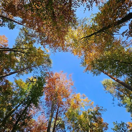 Fewo Am Wald 博克 外观 照片