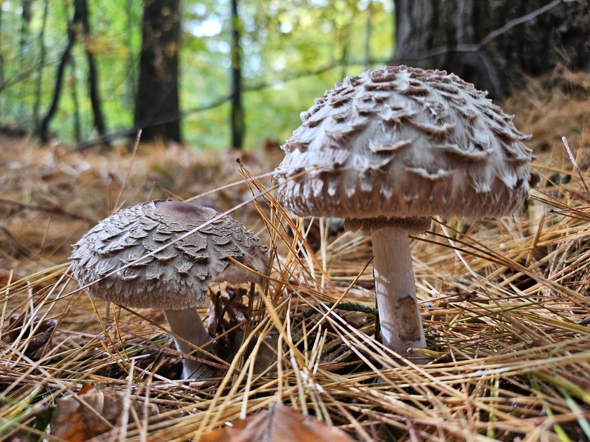 Fewo Am Wald 博克 外观 照片